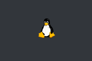 Read more about the article How to Create a Swap File in Linux When Repartitioning Isn’t an Option