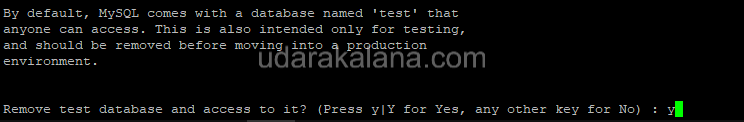 removing test database