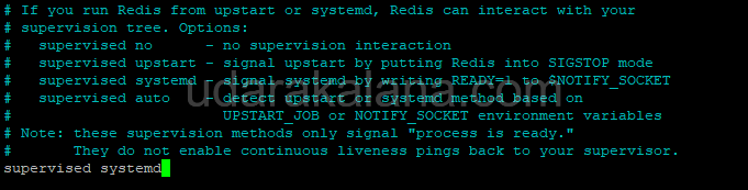 config in redis