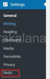 redis settings in wordpress