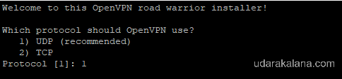 selecting protocol for openvpn